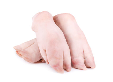 Fresh Pig Feet